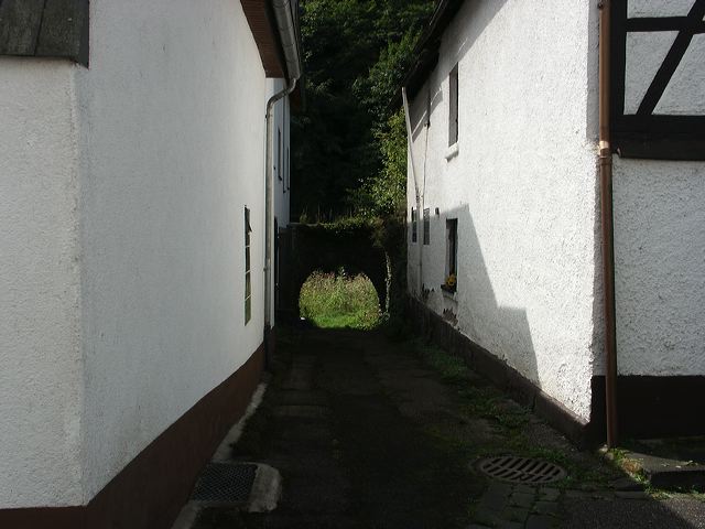 126_.jpg