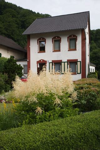 _mg_2725-2.jpg
