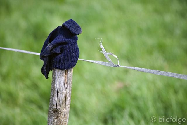 _mg_0983.jpg