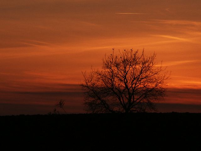 04_sonnenuntergang.jpg