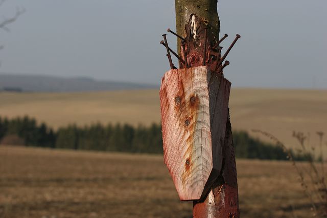 05_holz_nagel.jpg