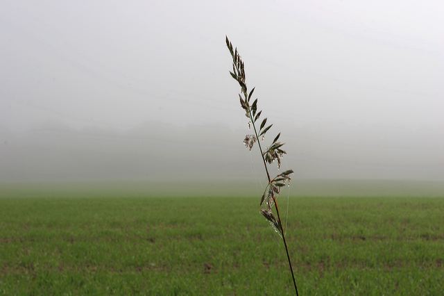 08_herbstfeld.jpg
