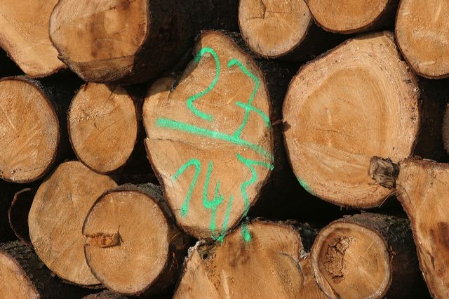 10_holz.jpg