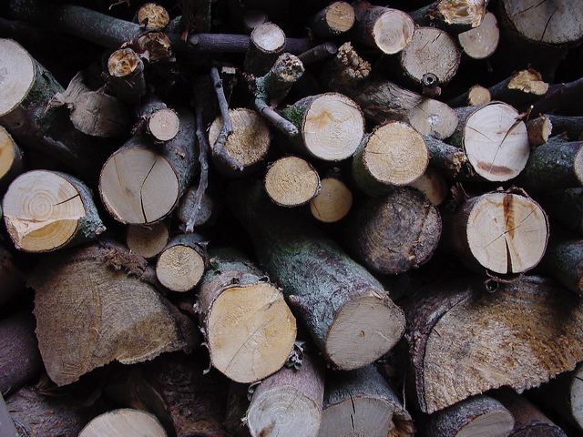 15_holz.jpg
