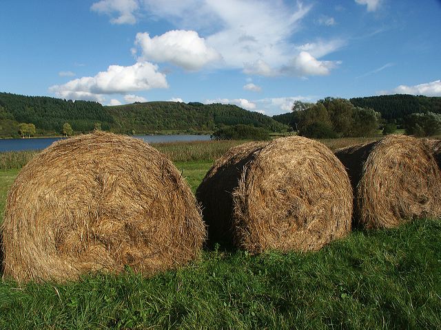 28_eifel.jpg