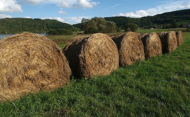 29_eifel.jpg