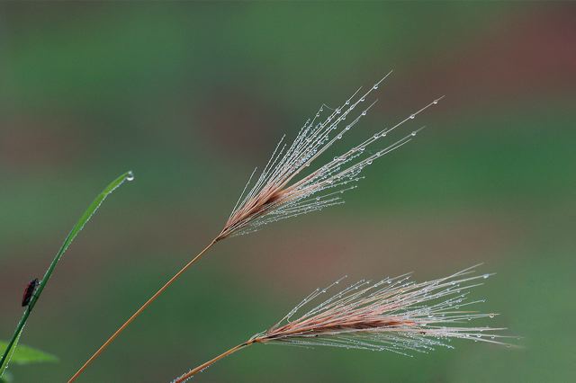 5473._ahren_regen.jpg