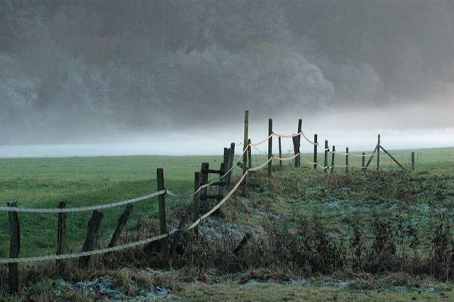7153_nebel_frost.jpg
