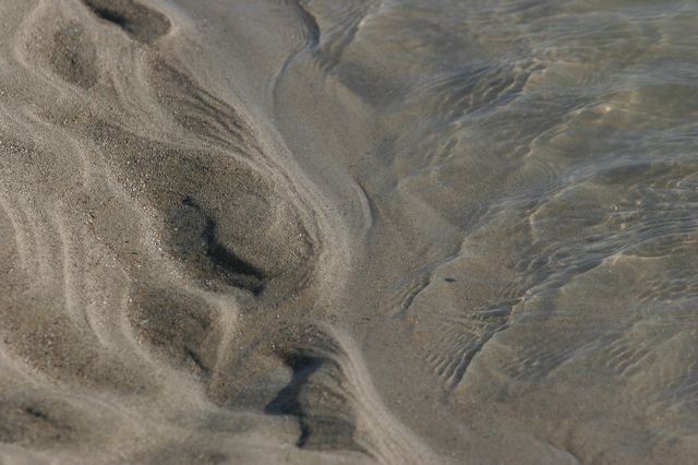 _mg_2021.jpg