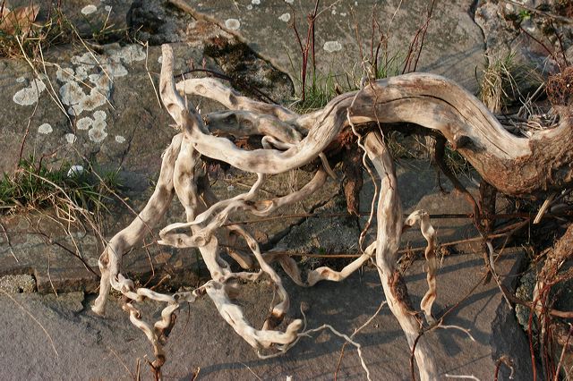 _mg_2552.jpg