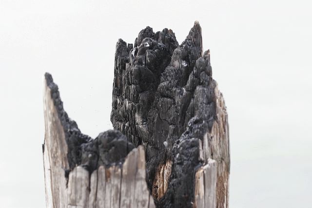 _mg_2684.jpg