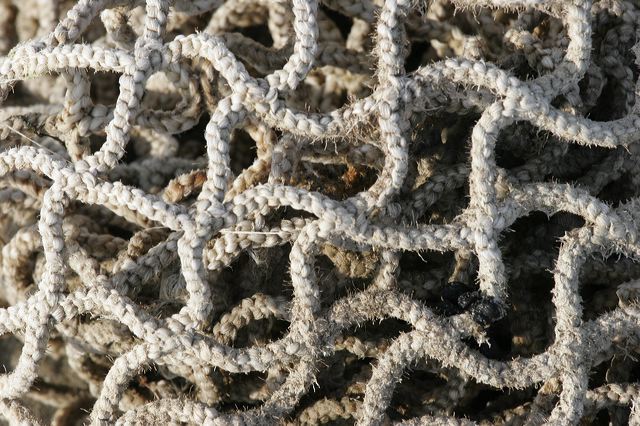 _mg_3032.jpg