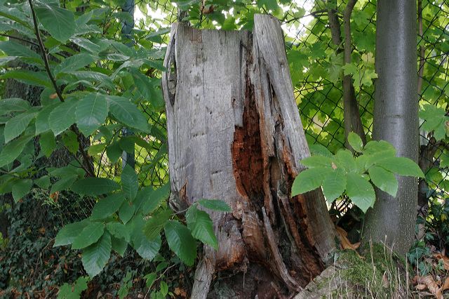 _mg_8441.jpg