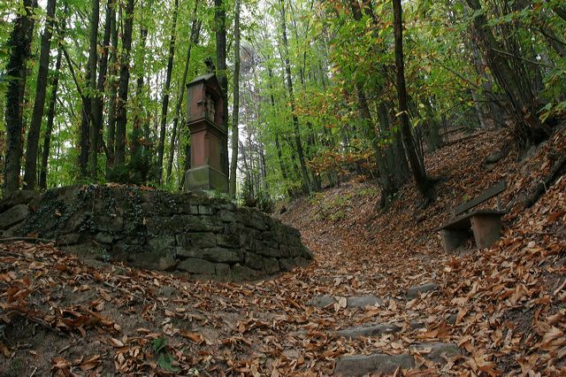 _mg_8444.jpg