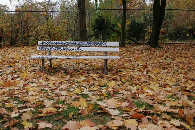 _mg_9562.jpg
