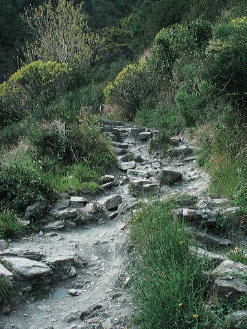 weg_steinig.jpg