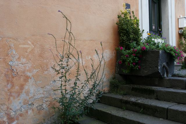 184_leutesdorf.jpg