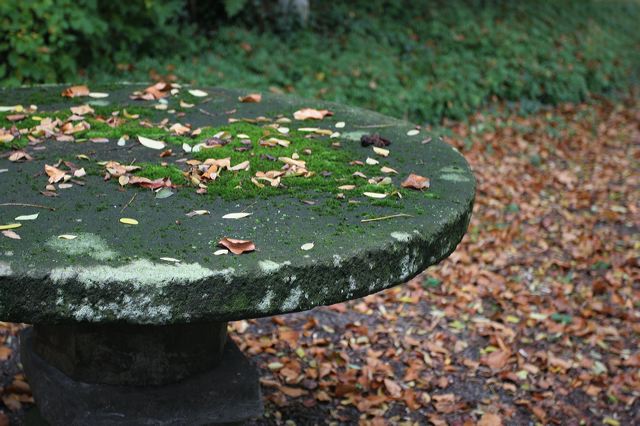 75.jpg