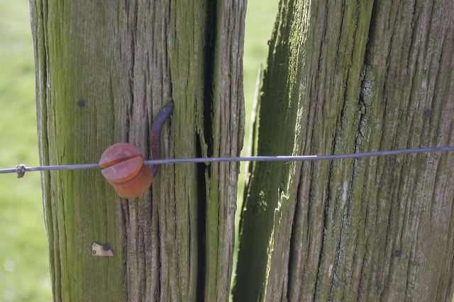 _mg_2317.jpg
