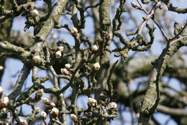 _mg_2324.jpg