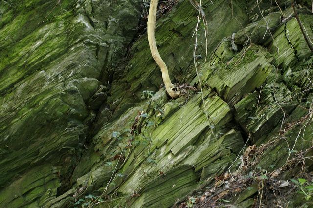 _mg_3809.jpg