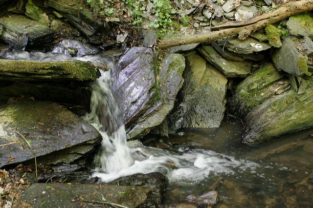 _mg_3817.jpg