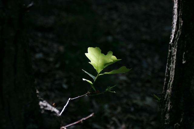 _mg_3847.jpg