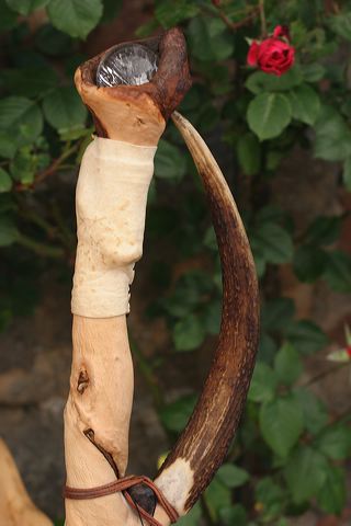 edenkoben0315.jpg