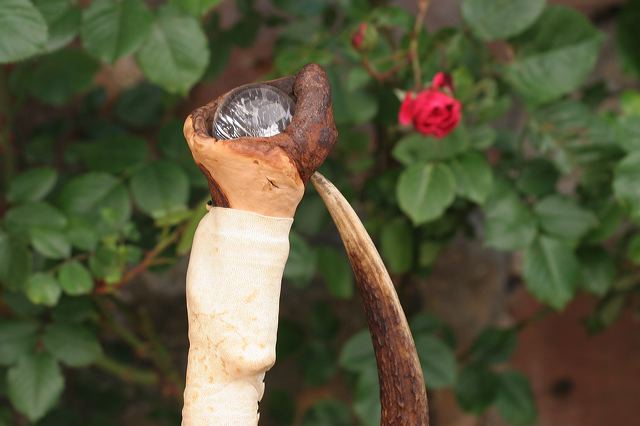 edenkoben0316.jpg