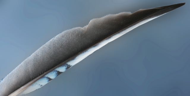 edenkoben0384.jpg