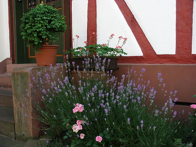 kegeltour_03_45.jpg