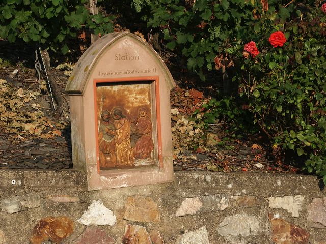 pict4935.jpg