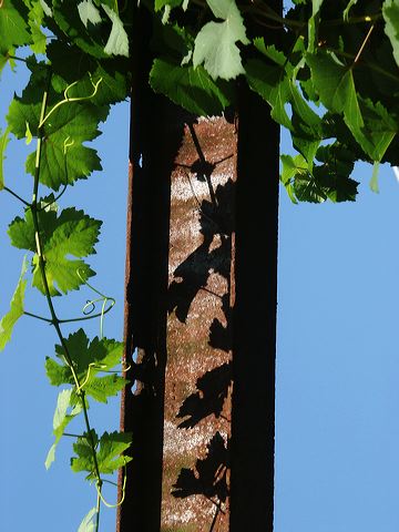 rech_081.jpg
