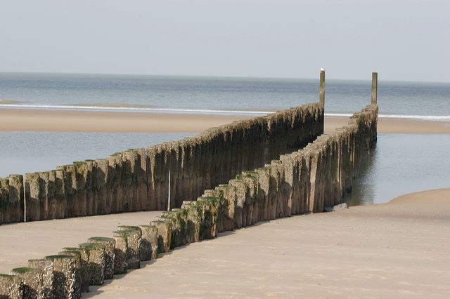 _mg_2011.jpg