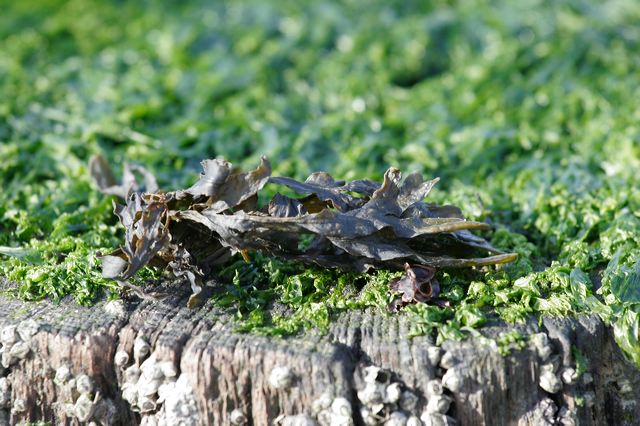 _mg_2023.jpg