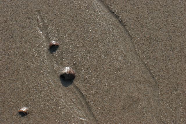 _mg_2038.jpg