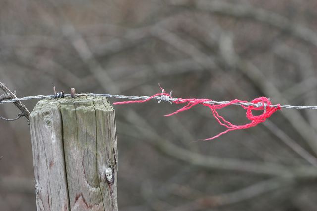 _mg_2046.jpg