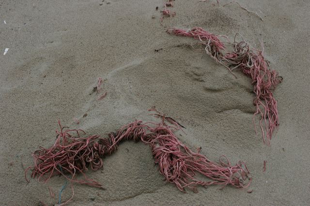 _mg_2105.jpg