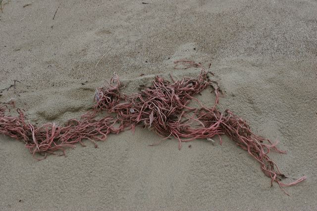 _mg_2107.jpg