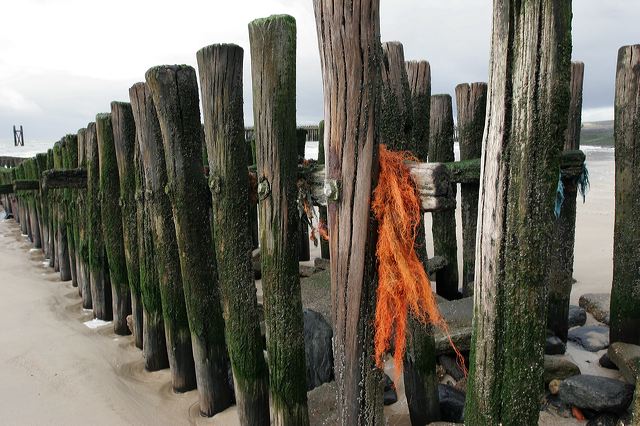 _mg_2123.jpg