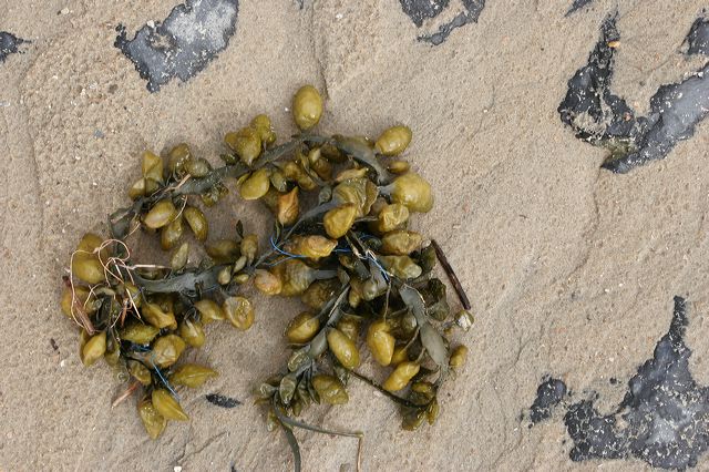 _mg_2134.jpg