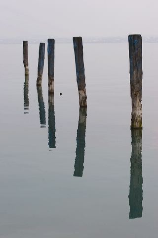 _mg_2662.jpg
