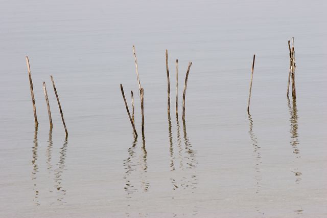 _mg_2664.jpg