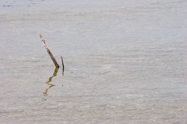 _mg_2666.jpg