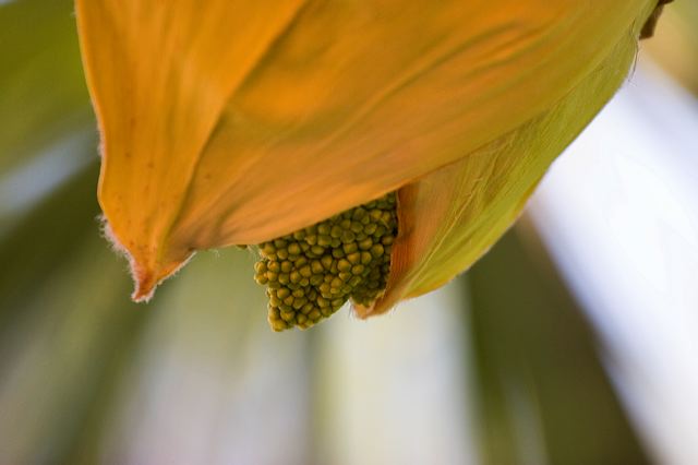 _mg_3264.jpg