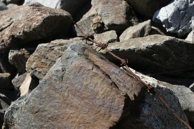 alpen0051.jpg