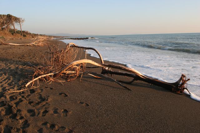 cecina0002.jpg