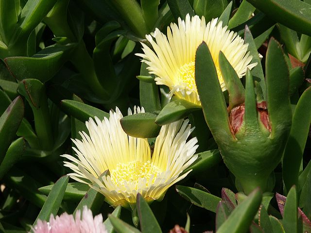 pict2576.jpg