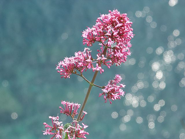 pict2609.jpg