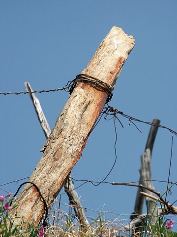 pict2620.jpg